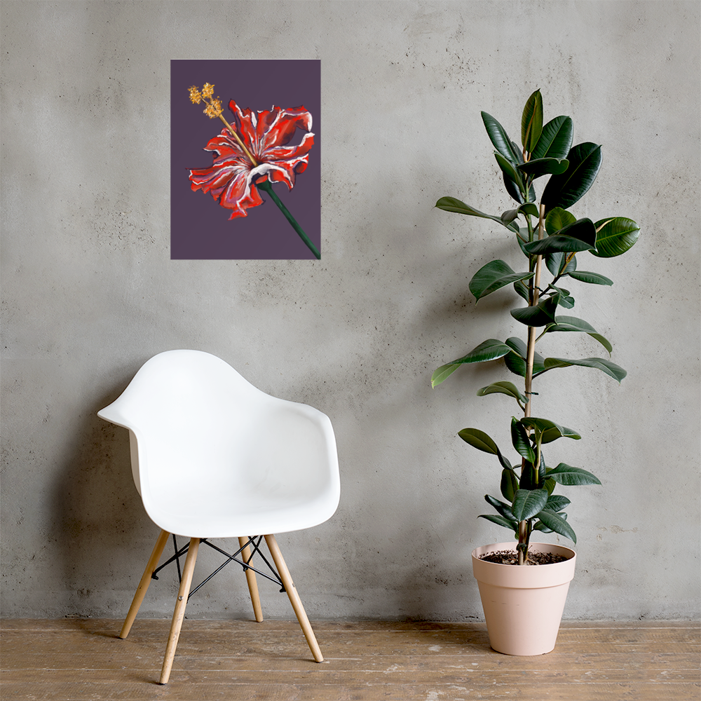 Flor de Maga Series